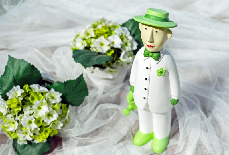 vitrine-MALAUSSENE-min_man-person-flower-green-toy-fig-546529-pxhere.com